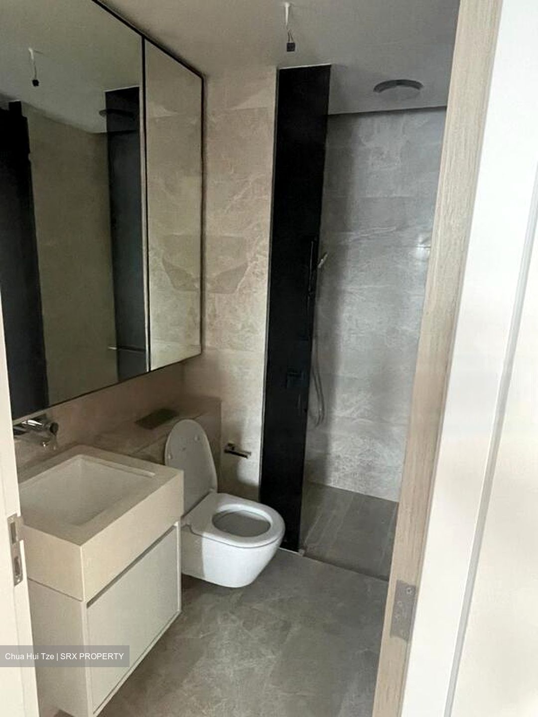 Amber Park (D15), Condominium #603170651